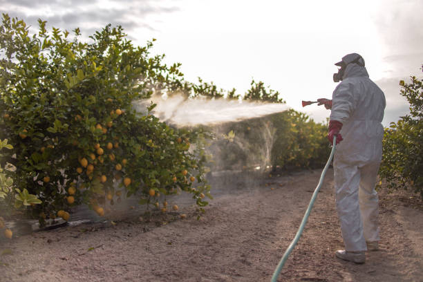 Best Best Pest Control Companies  in Quinebaug, CT