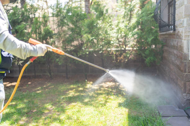 Best Wildlife Control Services  in Quinebaug, CT